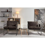 Gestoffeerde Fauteuil met Armzakken en Metalen Frame, Set van 2